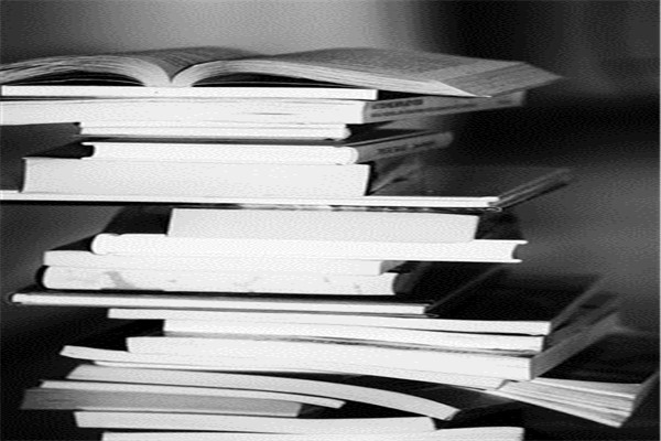 大学金融专业个人实习报告
